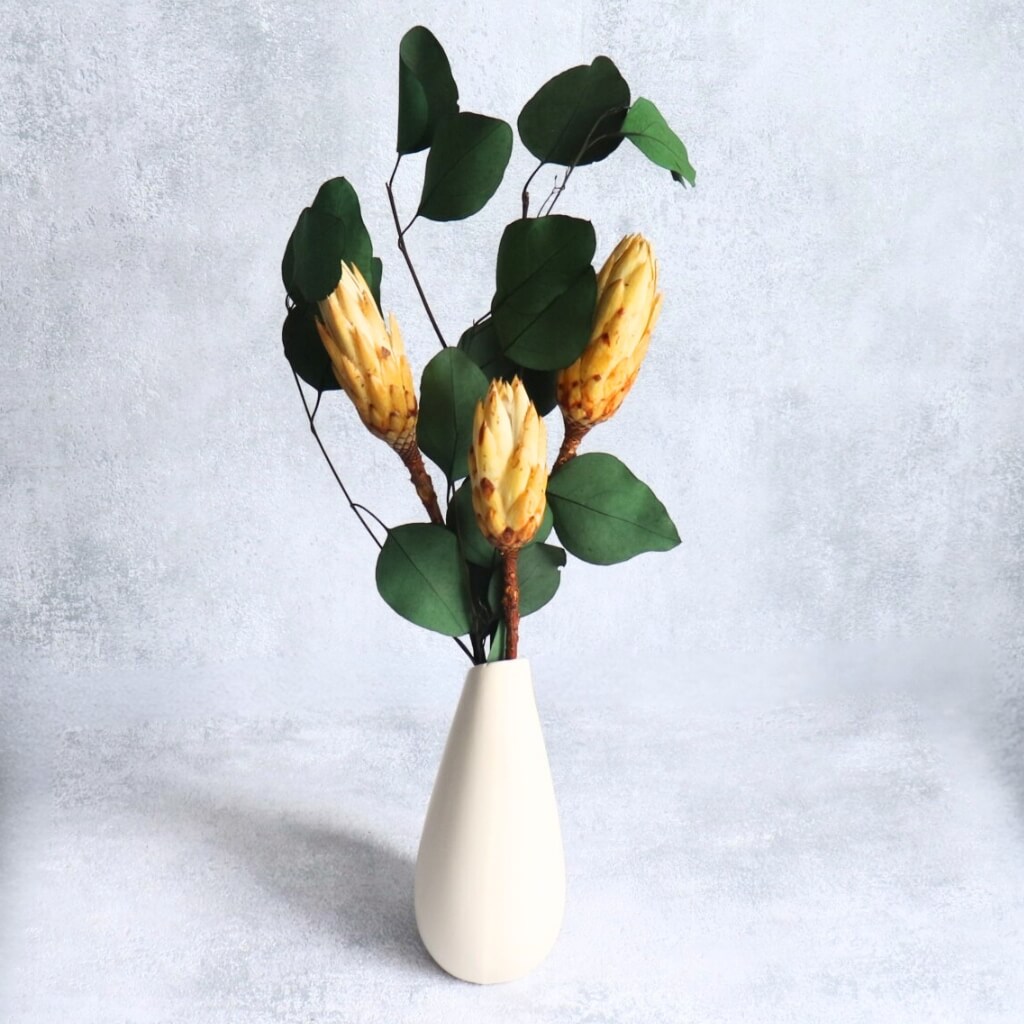 Protea Repens – smetanová, sušený květ do aranžmá a dekorací